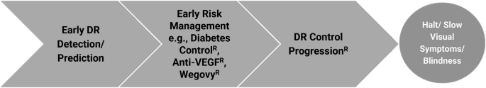 Assessing and monitoring abnormal retinal blood circulation for early detection of pre-structural damage and enhanced diabetic retinopathy staging using non-invasive, high-resolution biophotonic imaging technology - Eye
