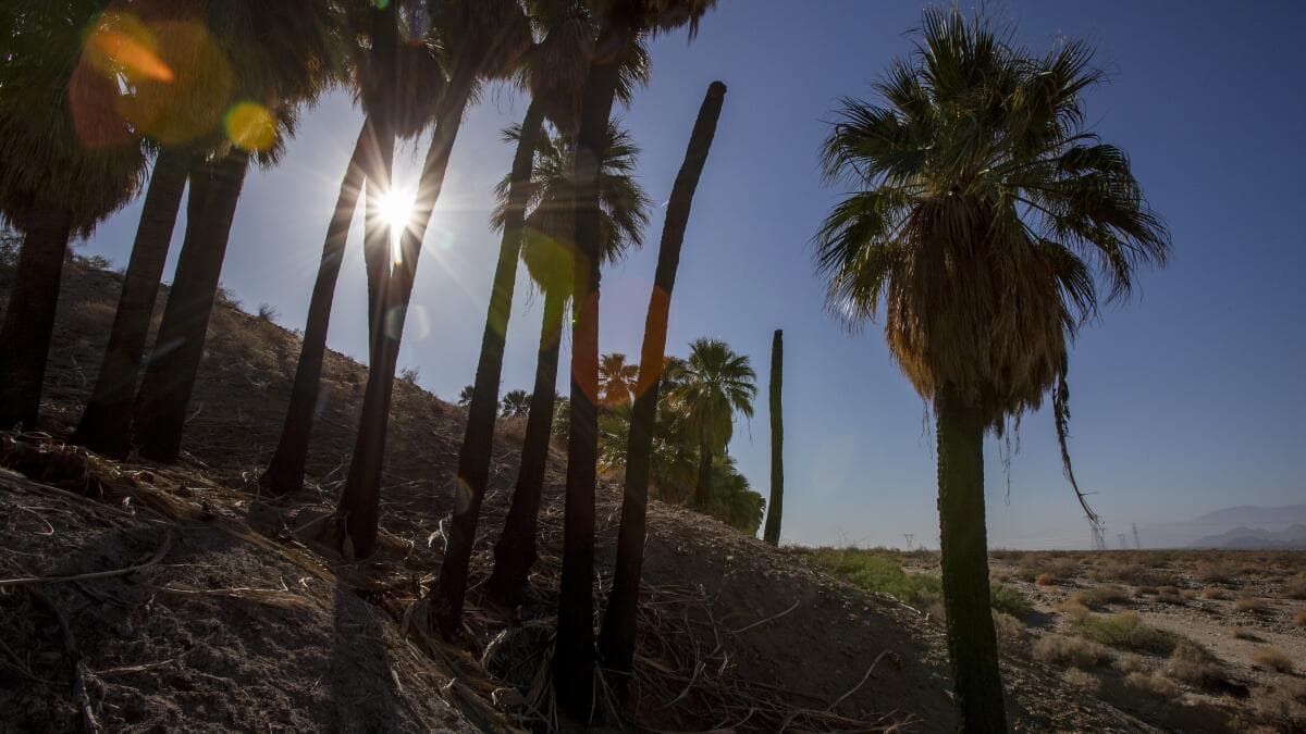 Money flows, average incomes rise dramatically in parts of bustling Coachella Valley